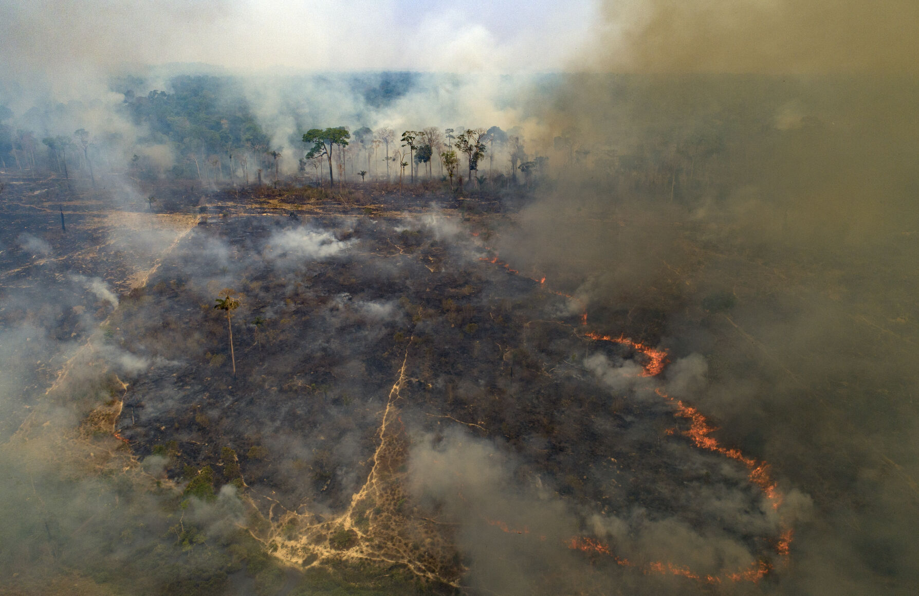 Climatic disasters